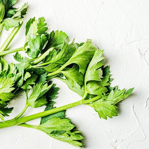 Celery